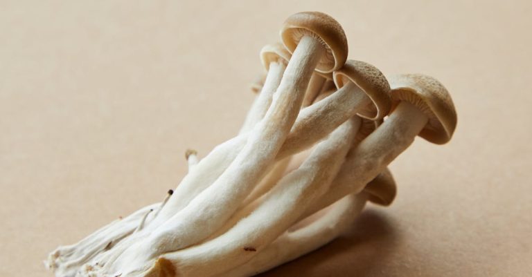 Portobello Mushroom Recipe: Meat Substitute with Versatile