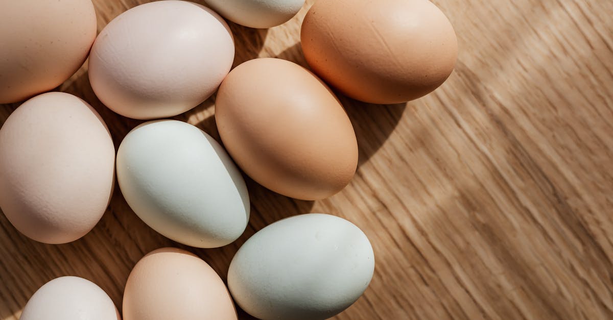 Brining Whole Chicken Guide: Tips for Enhancing Flavor and Tenderness